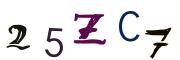 Bild-CAPTCHA
