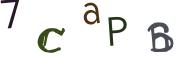 Bild-CAPTCHA