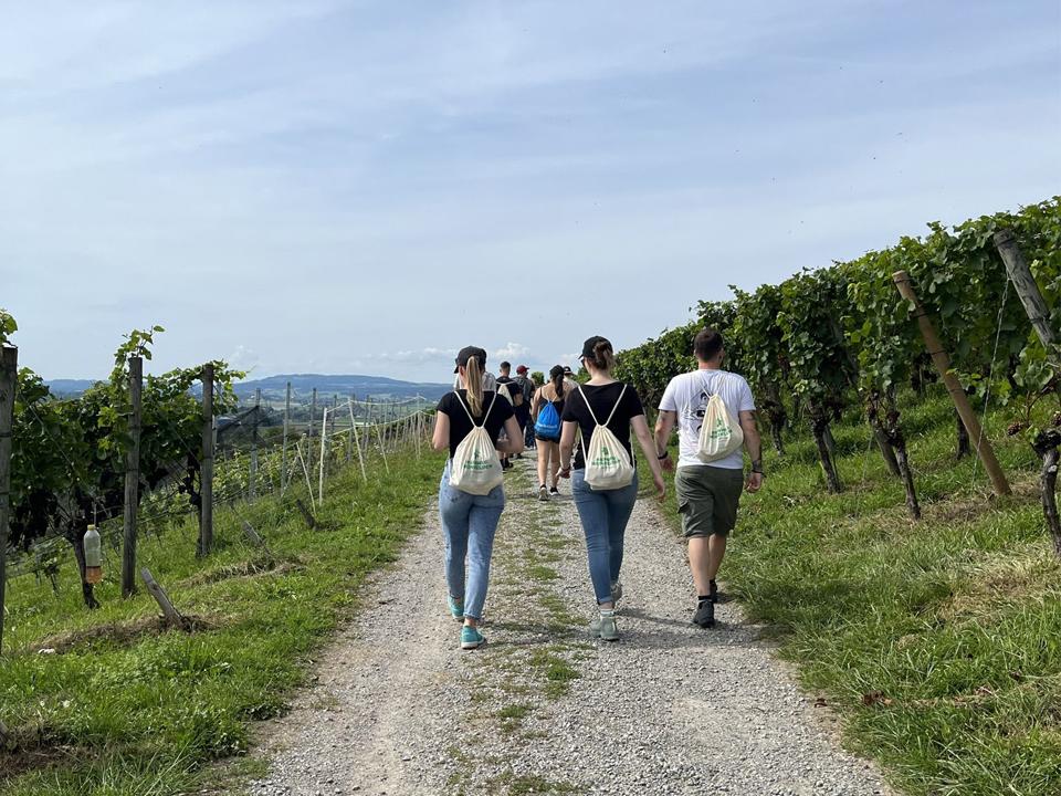 Auf dem Weinweg unterwegs