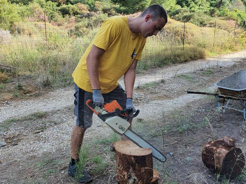 Holz verkleinern für Wintervorrat