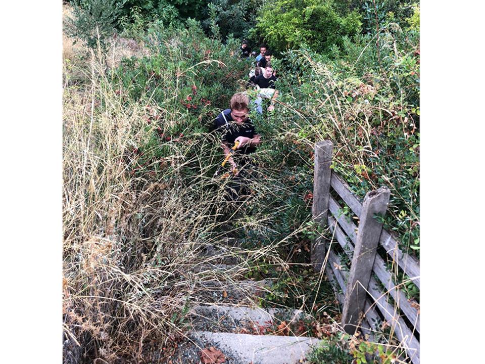 Pflanzen stutzen an einem Wanderweg