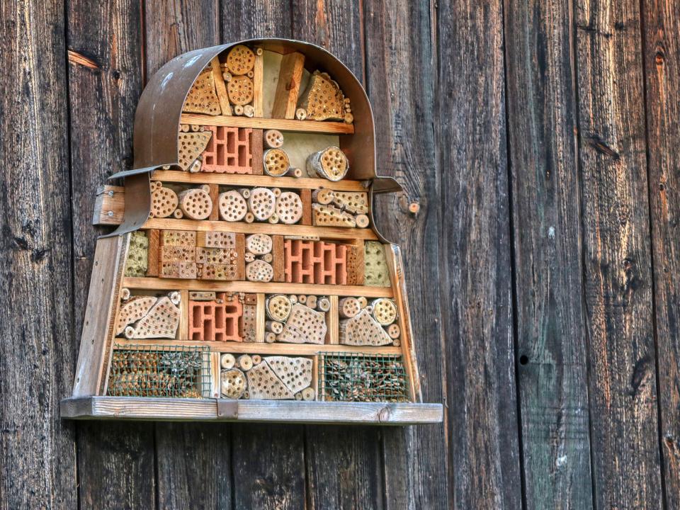 Baue ein Insektenhotel