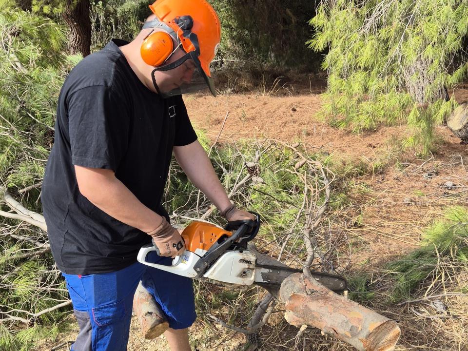 Holzfällen für Feuerholz im Winter