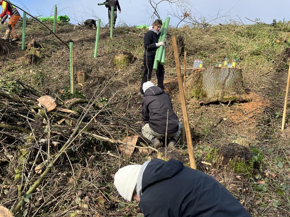 Mithilfe bei der Aufforschung