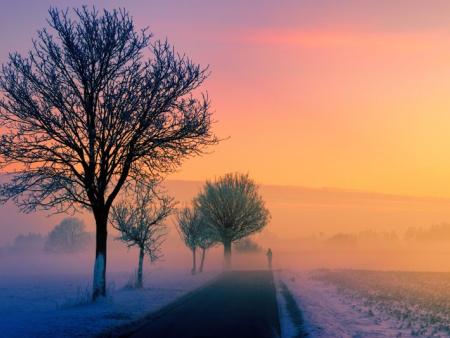 Vom Weg in den Advent – oder „von Weihnachten (k)eine Spur"