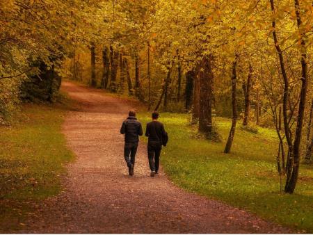 Blog: Appreciative Inquiry