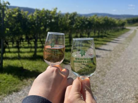 Diskussionen im Weinberg