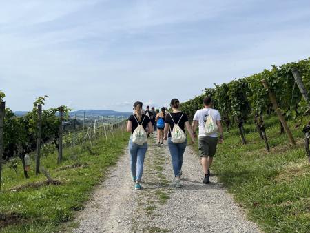 Auf dem Weinweg unterwegs