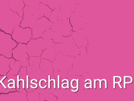 Petition für das RPI