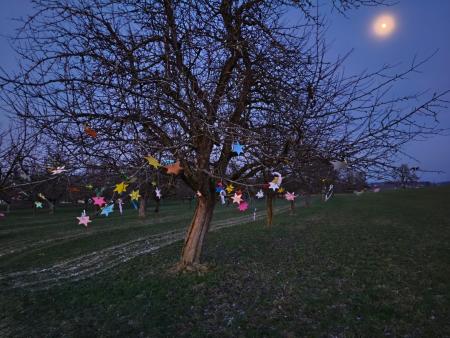 Rückblick zwüscheHALT 2025/26