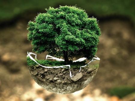 Kommission Kirche und Umwelt