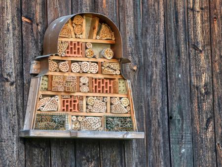 Baue ein Insektenhotel