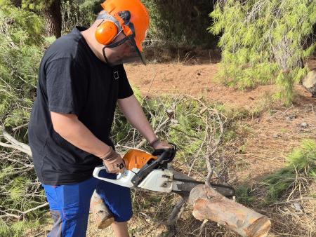 Holzfällen für Feuerholz im Winter