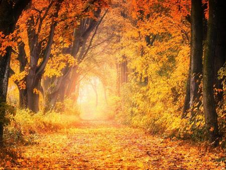 Der hilfreiche Link 13 - Sterben und Tod