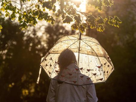 Hochsensibilität - Lebenslust oder Lebensfrust? (Seminar für Betroffene)